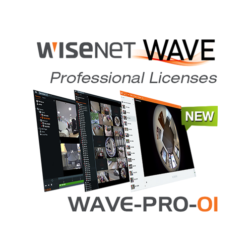 WAVE Professional License. Enables one