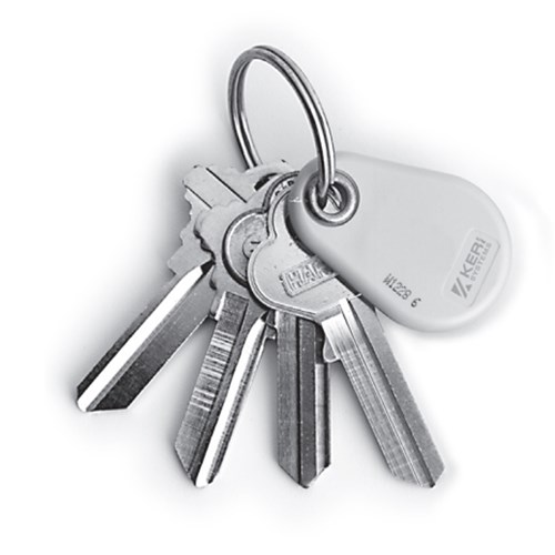 PROXIMITY KEY TAG (25PC MIN.)