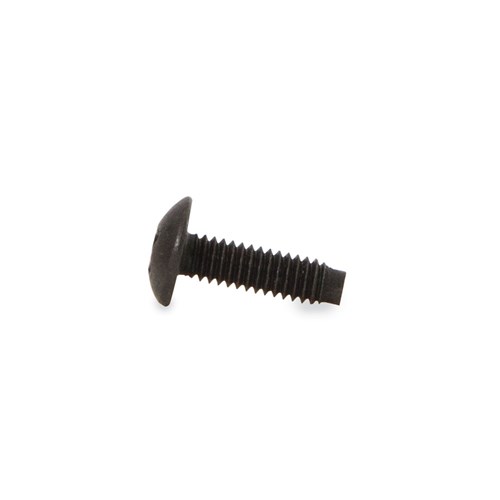 10-32 RACK SCREWS (100)