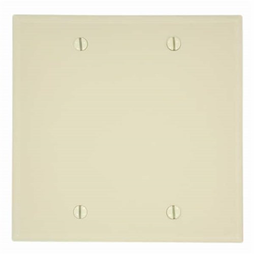 PLATE BLANK DOUBLE GANG NYLON IVORY