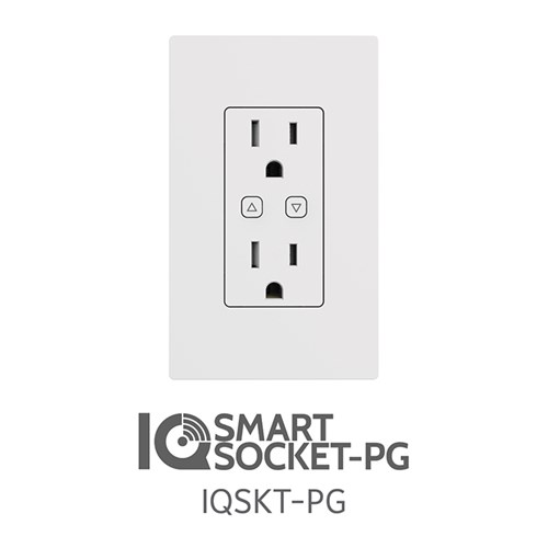 POWERG IN-WALL SOCKET WITH 2