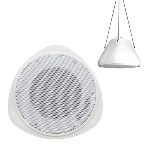 30 WATT RMS 5.25" PENDANT SPKR W/HANGING