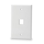 1PORT PLATE W/O LABEL WINDOWS WHITE