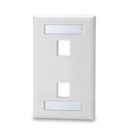 2PORT PLATE W/LABEL WINDOWS WHITE